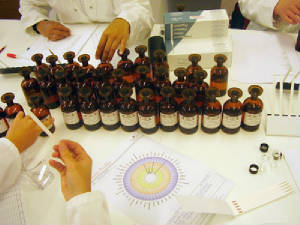 p1.jpg